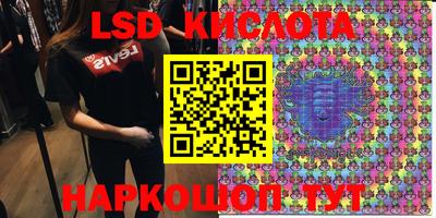 сатива Новозыбков