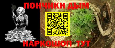 a pvp Новодвинск