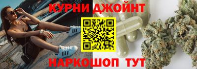 сатива Новозыбков