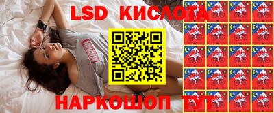 сатива Новозыбков