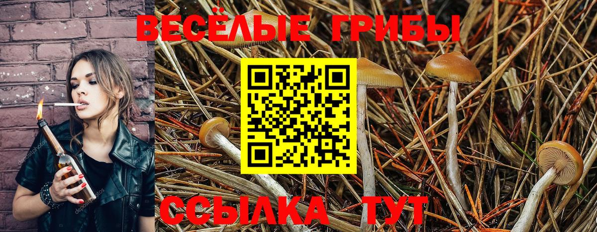 Галлюциногенные грибы MAGIC MUSHROOMS Строитель