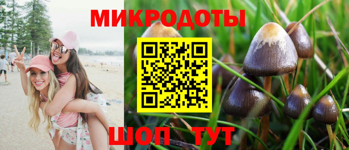 Строитель  Псилоцибиновые грибы ЛСД  Вход с VPN  Псилоцибиновые грибы Cubensis 